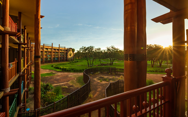 animal kingdom lodge view